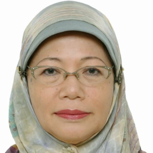 Ir. Hira Laksmiwati Soemitro, M.Sc.